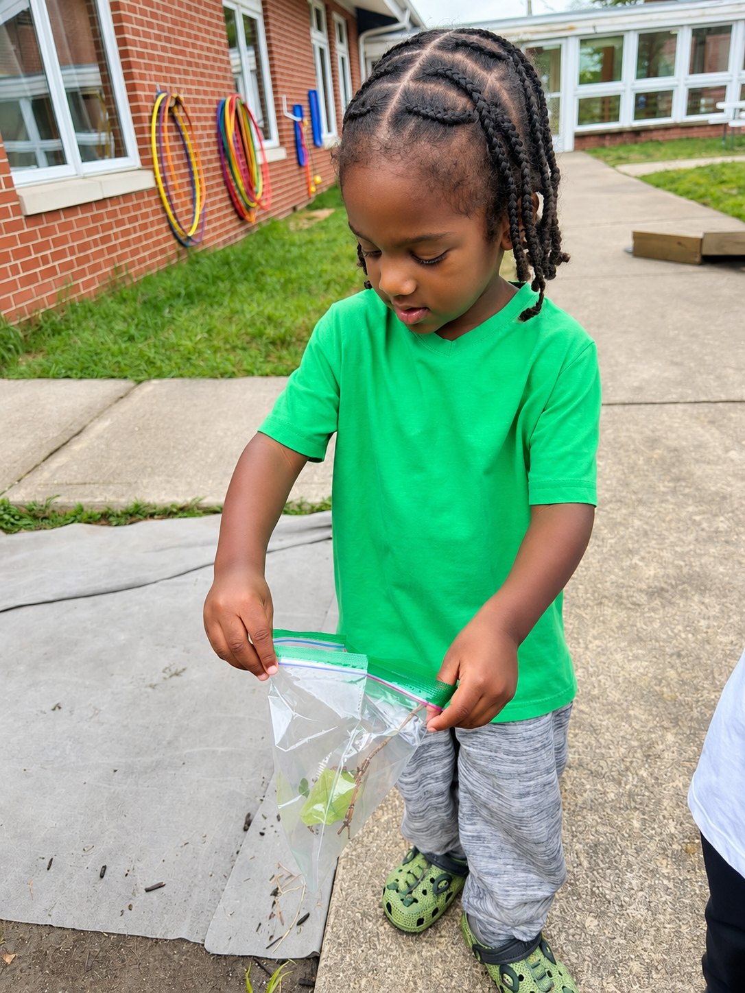 A child investigates collected leaves during outdoor discovery